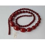 A LONG STRING OF GRADUATED CHERRY AMBER BEADS 42 CM - 102 GMS