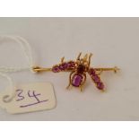 A RUBY SET BUG BROOCH 22CT GOLD