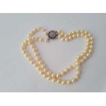 A GOOD DOUBLE ROW PEARL NECKLACE with 18ct gold diamond clasp (1.8cts)