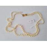 A twin strand pearl necklace with gold clap