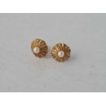 A pair of pearl earrings 9ct - 1.4 gms