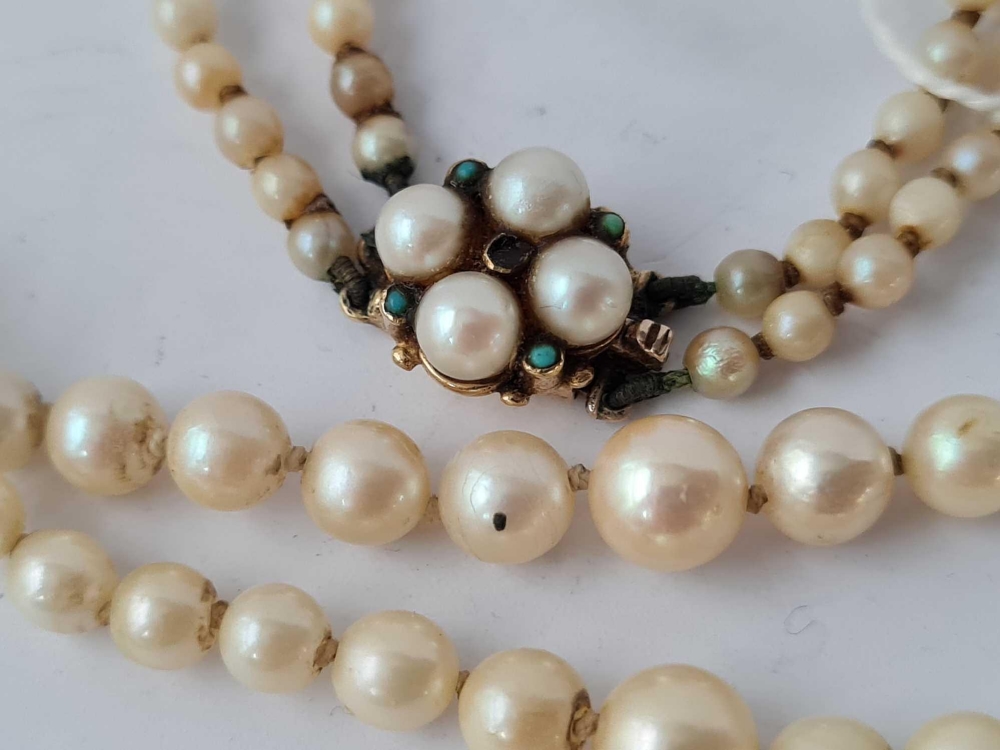 A double row of pearls with 9ct clasp - Image 2 of 2