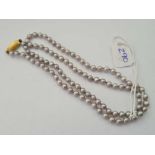 A SILVER COLOURED CULTURED PEARL NECKLACE WITH 9CT GOLD CLASP 18 INCHES