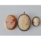 Three cameo brooches