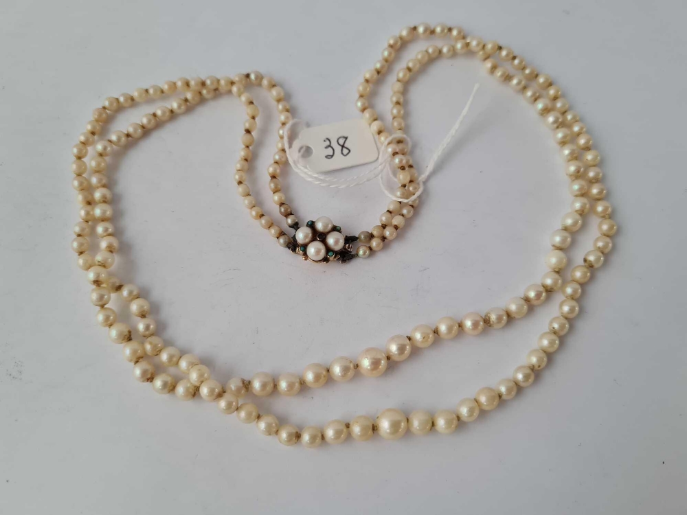 A double row of pearls with 9ct clasp
