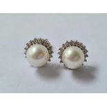 A pair of white gold diamond and pearl earrings 18ct gold
