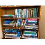 Three shelves of various books