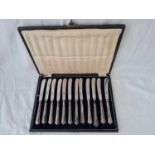 A cased set of twelve silver handled tea knives, Sheffield 1924
