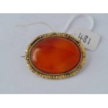 A gold back large oval agate brooch