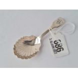 An early Victorian Exeter caddy spoon with shell shaped bowl – 1837 by WW