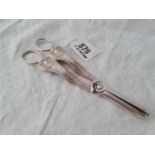 A pair of shell decorated grape scissors, Sheffield 1959
