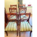 A set of six Regancy style dining chairs with sabre legs and drop in seats