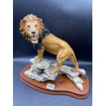 A Border Fine Arts Lion on a rocky outcropped with wood base, 11.5" high