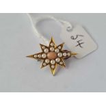 A Victorian coral and pearl star brooch, 15ct gold tested