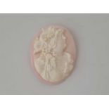 Victorian pink & white carved conch shell cameo of a female head, unmounted.