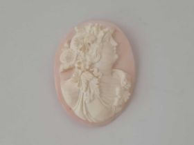 Victorian pink & white carved conch shell cameo of a female head, unmounted.
