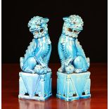 A Pair of Turquoise Glazed Ceramic Dogs of Fo sat on rectangular plinths;