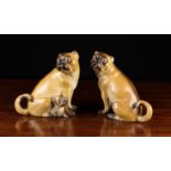 A Pair of Brown Meissen Pug Dogs; one with a pup at her feet.