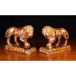A Pair of 19th Century Mottled Treacle Glazed Terracotta Lions depicted with one front paw raised