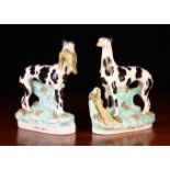 A Pair of Late 19th Century Staffordshire Greyhounds painted with black markings an green enamelled