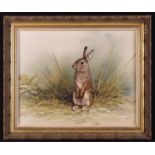 An Oil on Canvas: Young Rabbit, signed lower right NANEE, 16" x 20" (41 cm x 51 cm),