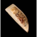 A Rare Stone 'Fossilised Tiger Tooth' Pendant, 10½" (4 cm) in length.