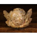 A 16th Century Flemish Carved & Polychromed Wooden Winged Angel's Head 4" (10 cm) high, 6½" (16.