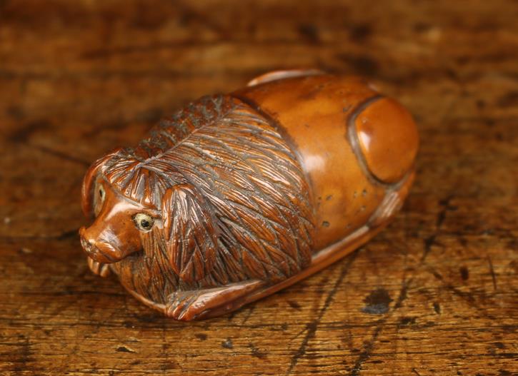 An Early 19th Century Coquilla Nut Snuff Box intricately carved in the form of a recumbent dog with