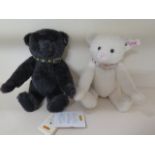 Two Steiff teddy bears with collars black and white Jack and Jill