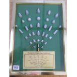 A framed bullet display- Bullets that Shaped American History, 42cm x 31cm