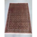 A hand knotted woollen Bijar rug, 1.70cm x 1.20cm, generally good