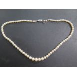 A string of pearls, 46cm long, with a 9ct white gold clasp, largest pearl approx 7mm