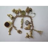 A 9ct yellow gold charm bracelet with 8 charms, 3 fobs and a locket and a ring, total weight