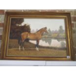 An oil on canvas of a horse by a river signed Patrick A Oxenham, frame size 63cm x 83cm, some