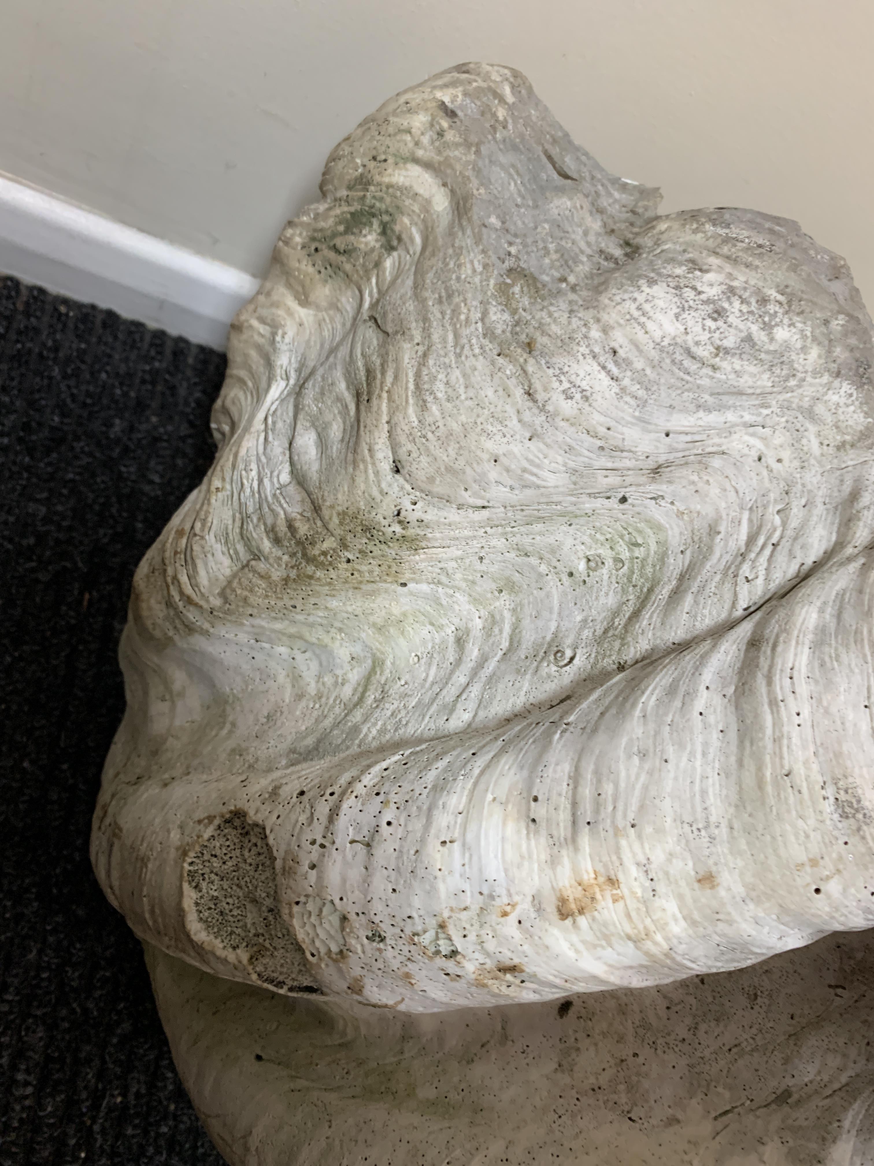 A LARGE PAIR OF GIANT CLAM SHELLS (TRICADNA GIGAS), PROBABLY 19TH CENTURY with a weathered finish ( - Image 13 of 14