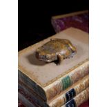 A TREEN FROG OR TOAD SNUFF BOX LATE 19TH CENTURY realistically carved with mother of pearl eyes