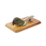 AN AUSTRIAN COLD PAINTED METAL PARROT HEAD DESK CLIP LATE 19TH / EARLY 20TH CENTURY mounted on an