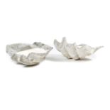 A LARGE PAIR OF GIANT CLAM SHELLS (TRICADNA GIGAS), PROBABLY 19TH CENTURY with a weathered finish (