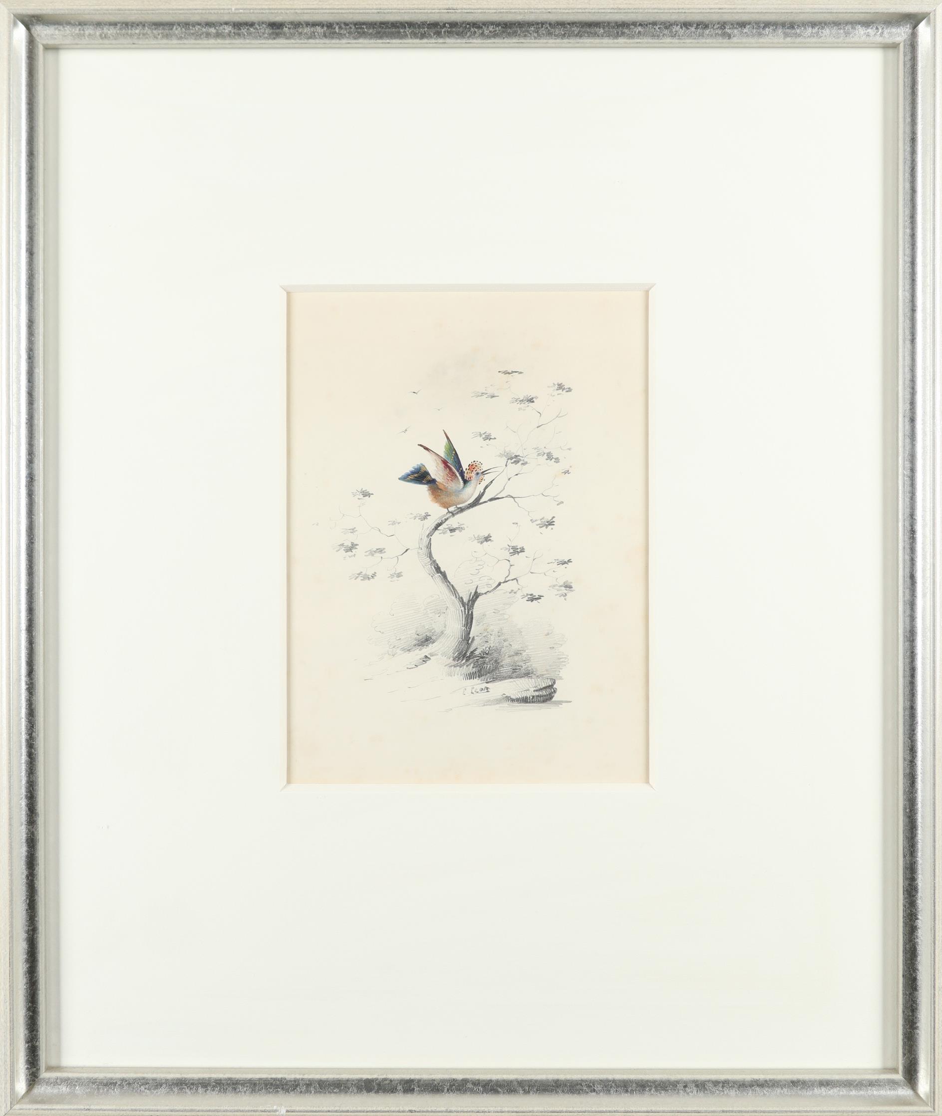 Edward Lear (1812-1888) Crested bird on a branch Signed E.Lear (lower centre) Pencil and - Image 2 of 3