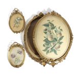 A PAIR OF VICTORIAN GILTWOOD AND COMPOSITION FRAMES C.1860-70 containing watercolours of fruit,