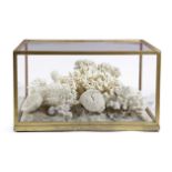 Î» A WHITE CORAL DIORAMA LATE 19TH CENTURY in a naturalistic setting, mounted with various