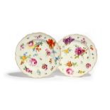 A pair of Meissen plates, c.1770, boldly painted with flowers and flying insects within a shaped