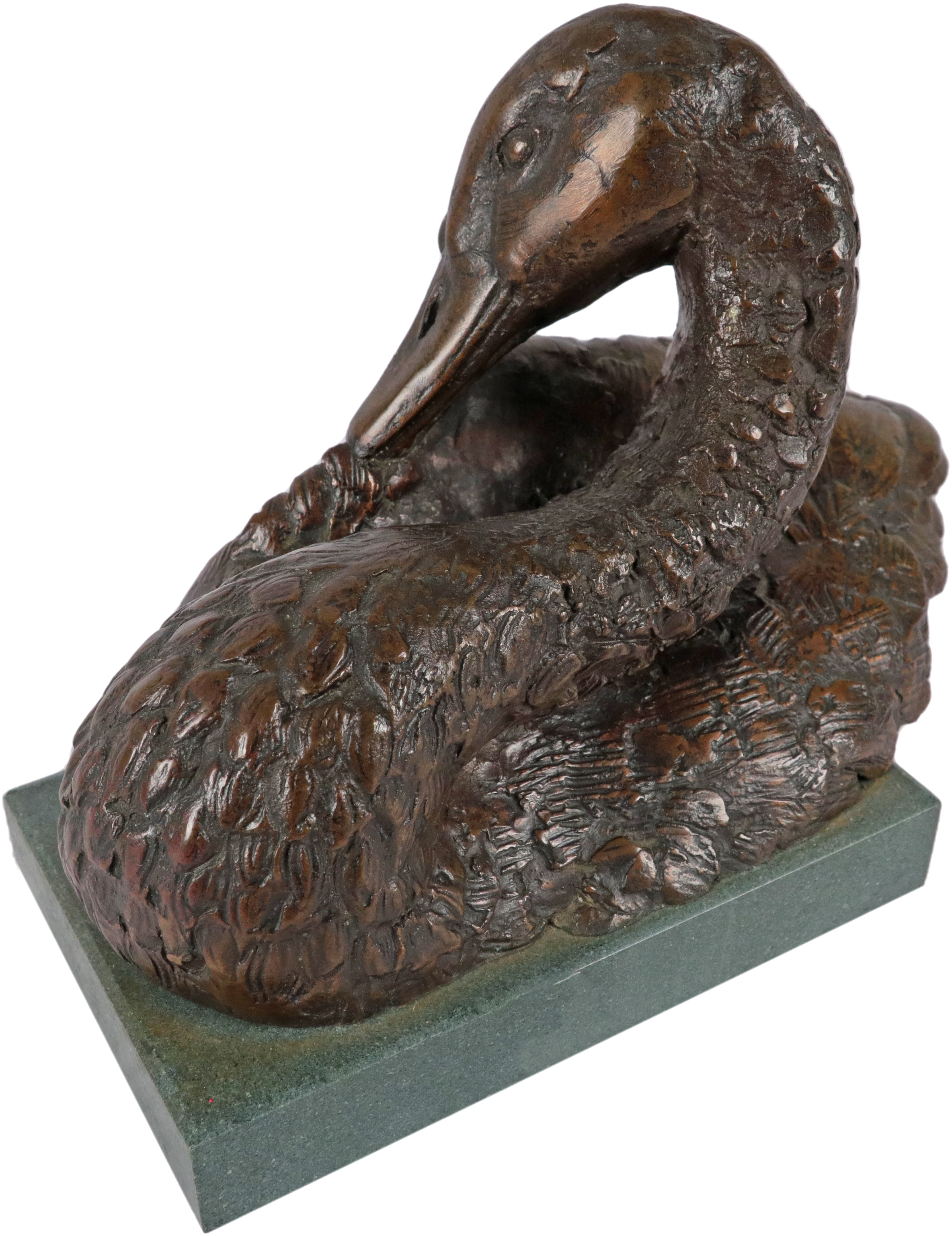 ‡Sally Arnup (1930-2015) Swan preening its feathers Signed and numbered II/X/ARNUP (to wing)
