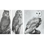 ‡Colin See-Paynton (b.1946) Great Horned Owl; Great Grey Owl; Barn Owl II Three, each signed and