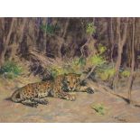Arthur Wardle (1864-1949) Leopard at rest Signed ARTHUR/WARDLE (lower right) Pastel 27.6 x 36.7cm