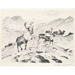 ‡Carl Rungius (German 1869-1959) Above Timberline Signed and inscribed To Arthur H. Harlow Jr.