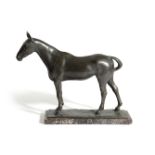 AN ITALIAN EQUESTRIAN BRONZE OF 'SOLOMON' BY ENRICO MALVANI (ITALIAN 1864-1934) signed, titled and