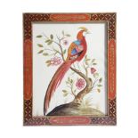 A SET OF SIX WATERCOLOURS OF EXOTIC BIRDS IN THE MANNER OF SAMUEL DIXON, EARLY 20TH CENTURY each