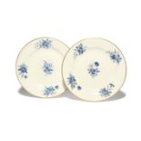 A pair of Nantgarw plates c.1818-20, painted in London with naive flower sprays in dry blue within