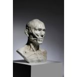 A WHITE MARBLE ECORCHE BUST AFTER JEAN-ANTOINE HOUDON, 20TH CENTURY the anatomical male head showing